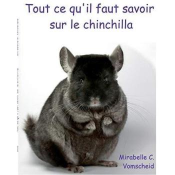 Tout ce qu'il faut savoir sur le chinchilla