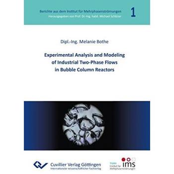 Experimental Analysis and Modeling of Industrial Two-Phase Flows in Bubble Column Reactors