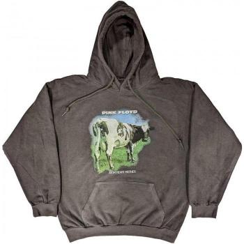 Pink Floyd Atom Heart Mother Hoodie für Erwachsene