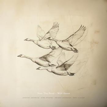 Pigeonneaux Sauvages – Environ le Plan d'Eau