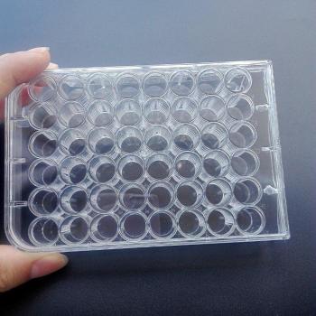 10pcs 10x10cm Disposable Petri Dishes for Bacterial Cultures