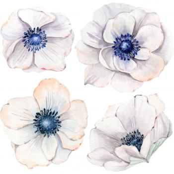 Queence Wandtattoo »Mareike«, (1 St.), Blume, selbstklebendes Wandbild