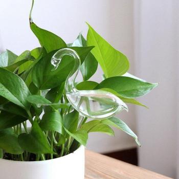 Decorative Plant Water Feeder