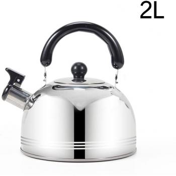 Stainless Steel Tea Kettle