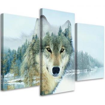 Impronta Lupo Blu Natura 3 Parti 60x40