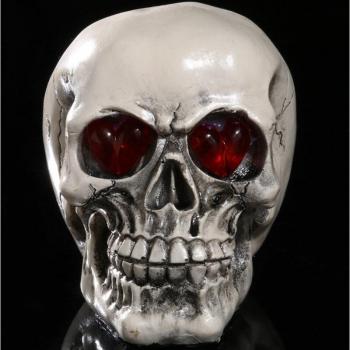 LED Skeleton Head Decor