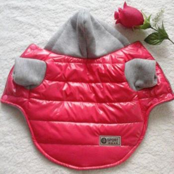 Small Dog Winter Down Coat