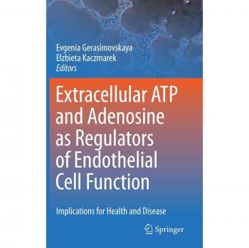 Extracellular ATP and adenosine as regulators of endothelial cell function