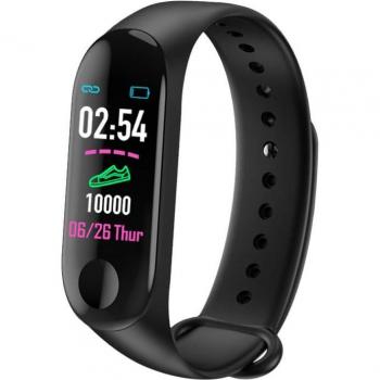 VitalWatch M3+