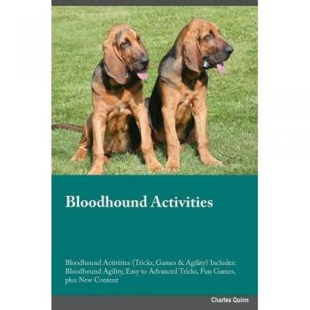 Bloodhound Activities Bloodhound Activities