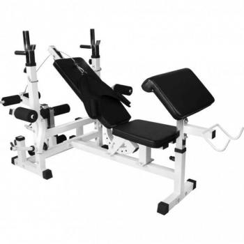 Multi-Purpose Weight Bench