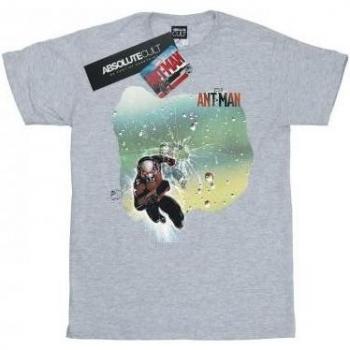 Marvel Ant-Man Shatter T-Shirt for Boys 12-13