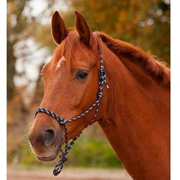Midnight Blue/Silver Waldhausen Knotted Halter – Pony Edition