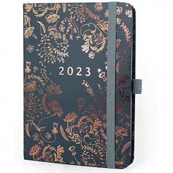 Boxclever Press Everyday 2023 Diary