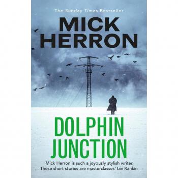 Dolphin Junction