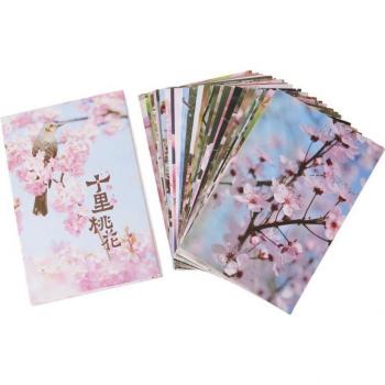 Peach Blossom Cat Landscape Prints Bundle