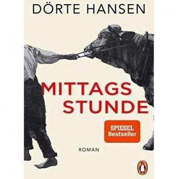 Mittagsstunde: Roman, Hansen, Dorte