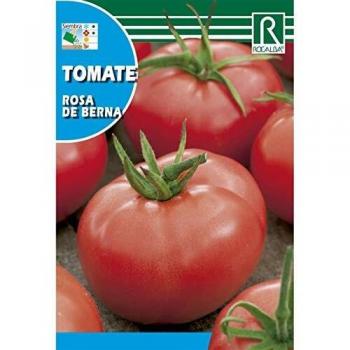 Tomate Berner Rose (Rosa). Sobre de semillas. 0,1 grs. Rocalba