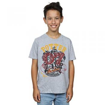 Camisetas de la Casa Gryffindor para Niños
