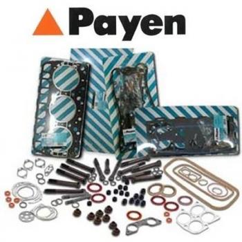 Zylinderkopfdichtung PAYEN CG9310