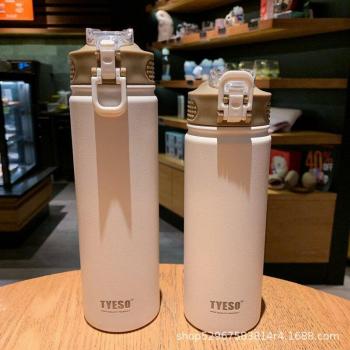 Insulated Stainless Steel Water Bottle with Straw