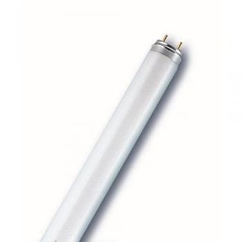 Spectralux® Plus 3‑Band T8 Lampe – RADIUM LF880, 26 mm Ø, Sockel G13