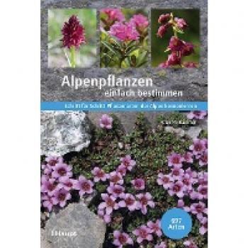 Alpenpflanzen einfach bestimmen