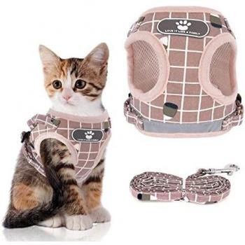 Adjustable Collar for Kitten and Puppy Night Walks