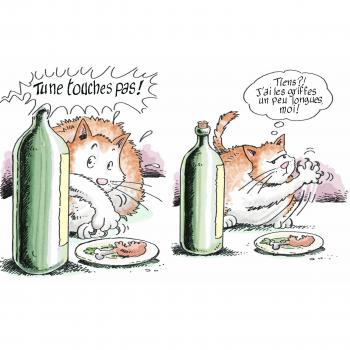 Mon chat est un hypocrite : (Et en plus, il est gros)