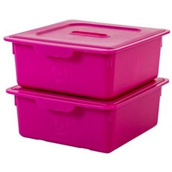 Box Salone Gioco Iris Ohyama 10L con Coperchio