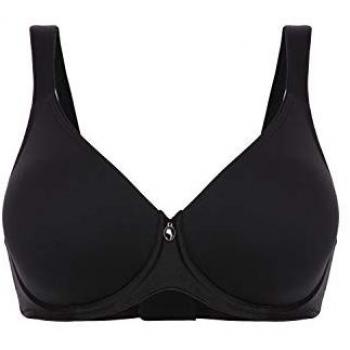 Corps Felineux 90B