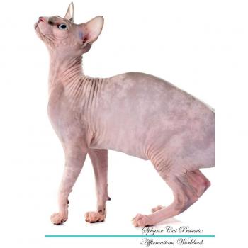 Sphynx Cat Affirmations Workbook Sphynx Cat Presents: Positive and Loving Affirmations Workbook. Includes: Mentoring Questions, Guidance, Supporting You.