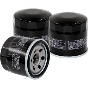 Intruder VS Series Oil Filter (1/2/3 pcs)