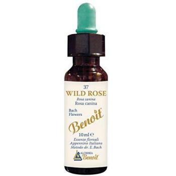 Fiori Di Bach Benoit Wild Rose 10 ml