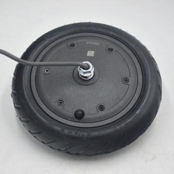 M365 36 V 250 W Elektromotor