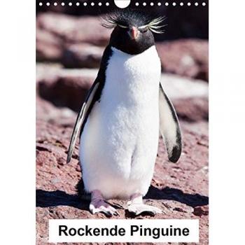 Rockende Pinguine