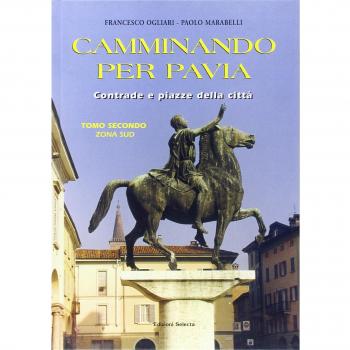 Camminando per Pavia. Zona sud (Vol. 2)