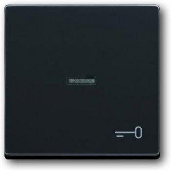 Programma Accessori Busch-Jaeger Bilanciere 2CKA001751A2933