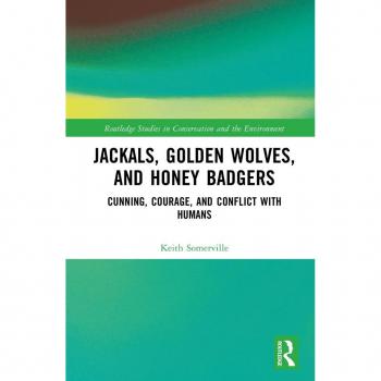 Jackals Golden Wolves and Honey Badgers