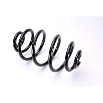 Magnum Coil Spring SW065MT Series
