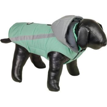 Traje Luminoso Nobby Pet para Mascotas