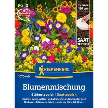 Blütenpracht für Balkon und Beet
