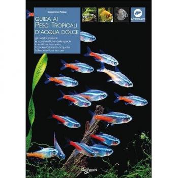 Guida ai pesci tropicali d'acqua dolce