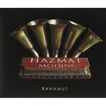 Radiateur écologique Hazmat Modine Bahamut