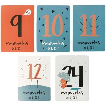 20 Pcs Baby Milestone Photo Cards