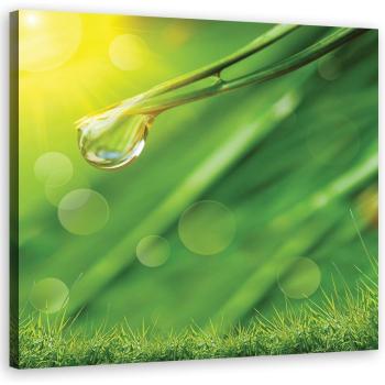 Fresh Meadow Print