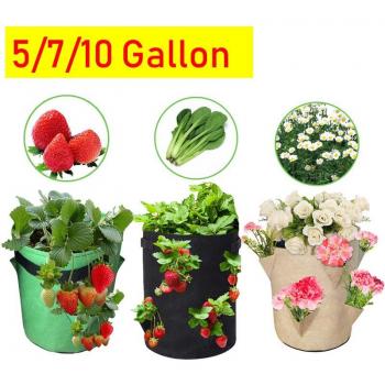 EcoPlant Vault: 5‑Gallon Potatoes & Herb Vertical Planter