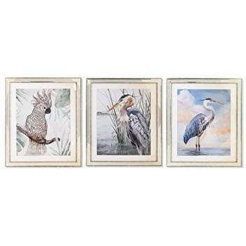 Lot de 3 Cadres DKD Home Decor Oiseaux Méditerranéens 40 x 1,6 x 60 cm