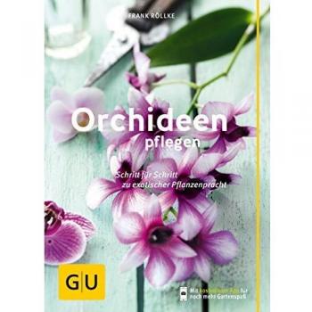Orchideen pflegen