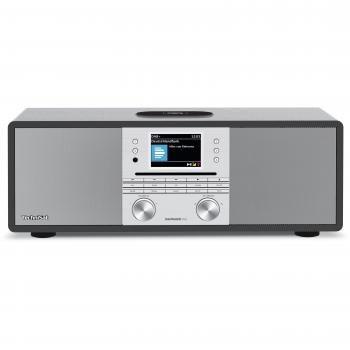 Radiosmart TechniSat 650 DAB/FM/BT/WiFi – Finitura Grigio Argento